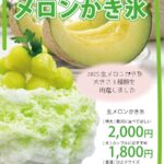 南知多町：花ひろば：生メロンかき氷