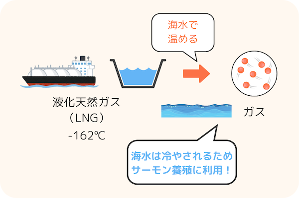 知多クールサーモン