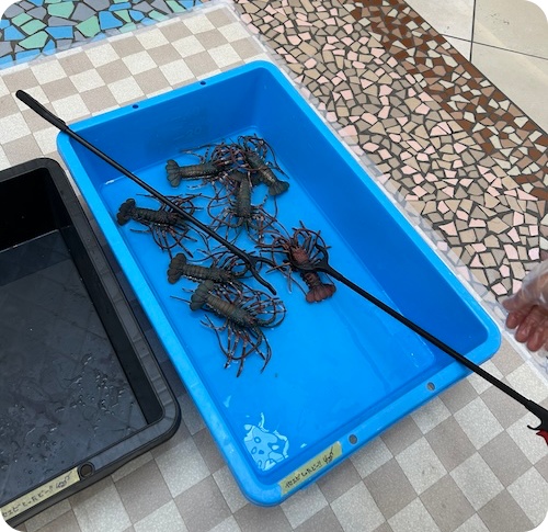 あそべーる水族館