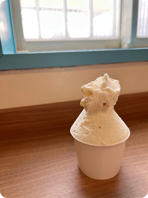 知多市ちたじぇら:ジェラート