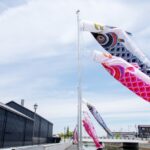 半田運河：鯉のぼり