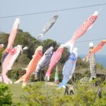 常滑市：小脇公園 鯉のぼり上げ