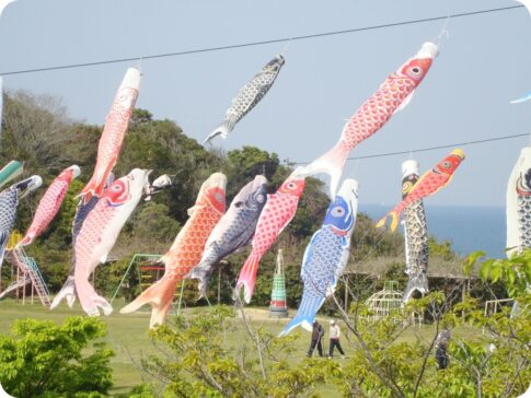 常滑市：小脇公園 鯉のぼり上げ