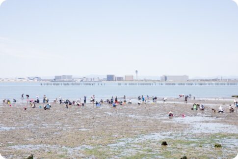 常滑漁業協同組合 潮干狩り