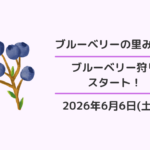 ブルーベリーの里みはま：ブルーベリー狩り