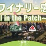常滑市サンセットウォーカーヒル「常滑ワイナリー感謝祭2026　Chill in the Patch」