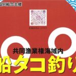常滑市鬼崎漁協:船タコ釣り