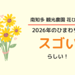 南知多 観光農園花ひろば：ひまわり2026