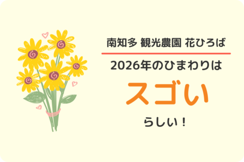 南知多 観光農園花ひろば：ひまわり2026