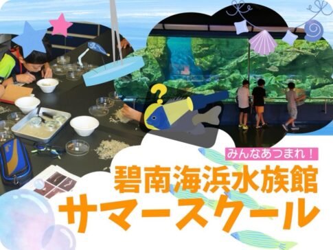 碧南海浜水族館サマースクール2026