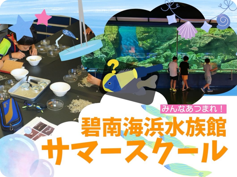 碧南海浜水族館サマースクール2026