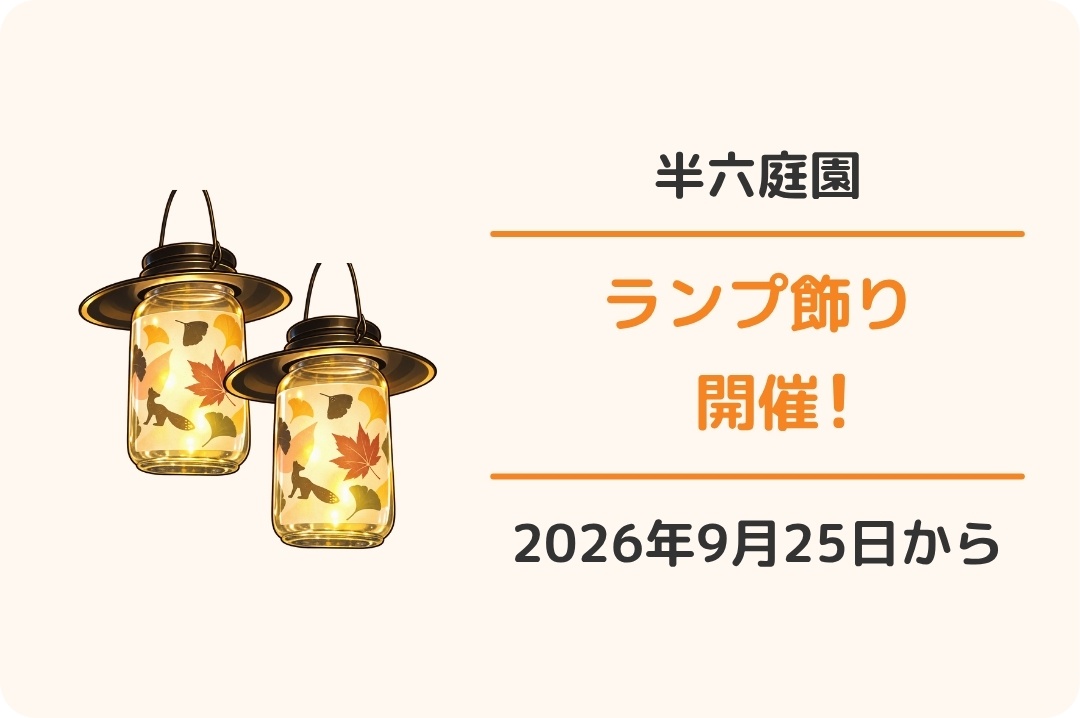 半田市「半六庭園のランプ飾り」