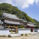 岩屋寺「千年の森 岩屋寺マルシェ」2026年10月